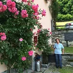 Le Primule Appartamento Piedilago