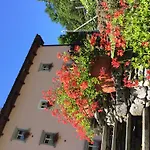 Le Primule