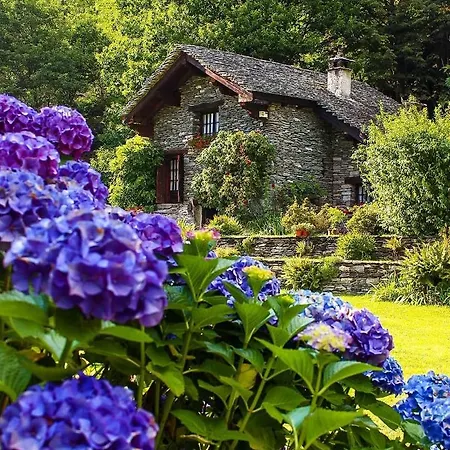 아파트 Le Primule