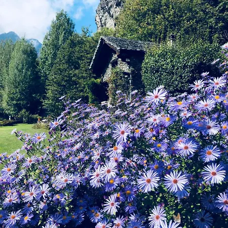 Appartement Le Primule Piedilago