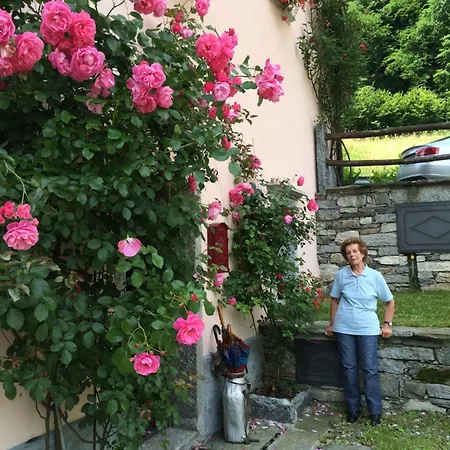 Le Primule Apartamento Piedilago