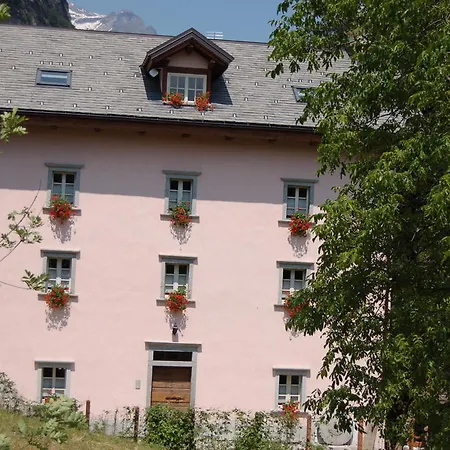 Le Primule