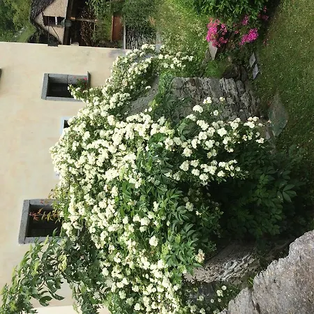 Apartamento Le Primule *