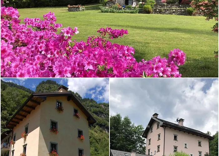 Le Primule 公寓 Piedilago