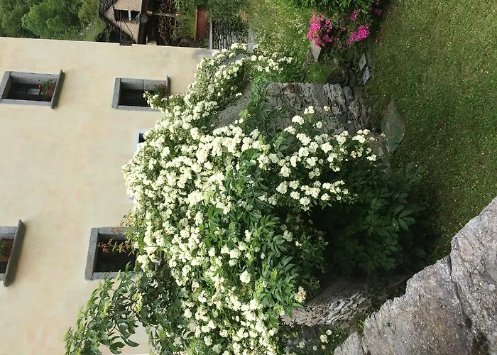 Apartamento Le Primule *